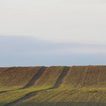Storchensommer Apartment