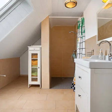 Storchensommer Blankensee (Mecklenburg-Vorpommern)