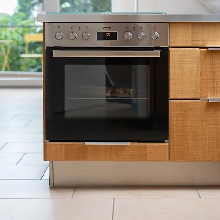 Storchensommer * Blankensee (Mecklenburg-Vorpommern)