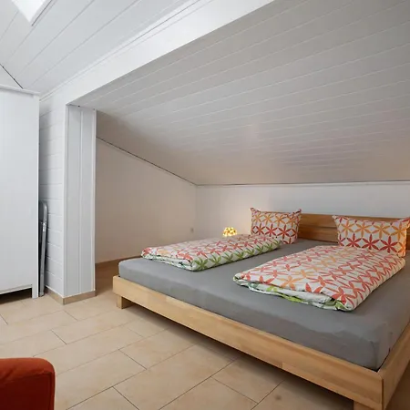 Storchensommer Blankensee (Mecklenburg-Vorpommern)