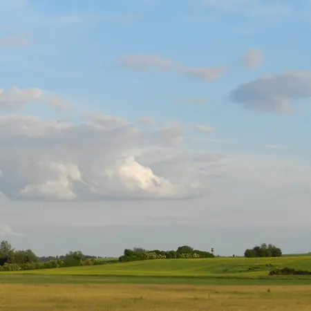 Storchensommer Blankensee (Mecklenburg-Vorpommern)